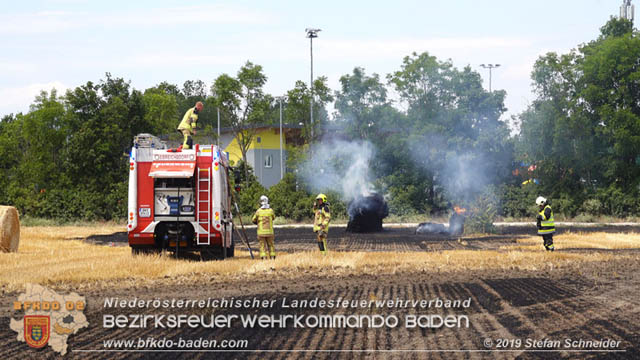 20190705 Abgeerntetes Feld sowie mehrere Rund-Stroballen bei Weigelsdorf abgebrannt Foto: © Stefan Schneider BFK Baden 20190705 Abgeerntetes Feld sowie mehrere Rund-Stroballen bei Weigelsdorf abgebrannt Foto: © Stefan Schneider BFK Baden