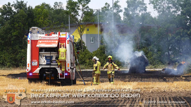 20190705 Abgeerntetes Feld sowie mehrere Rund-Stroballen bei Weigelsdorf abgebrannt Foto: © Stefan Schneider BFK Baden 20190705 Abgeerntetes Feld sowie mehrere Rund-Stroballen bei Weigelsdorf abgebrannt Foto: © Stefan Schneider BFK Baden