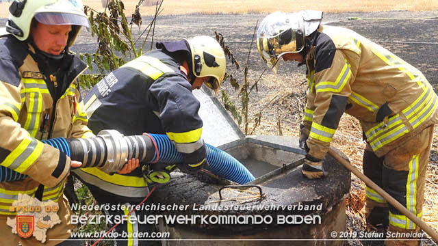 20190705 Abgeerntetes Feld sowie mehrere Rund-Stroballen bei Weigelsdorf abgebrannt Foto: © Stefan Schneider BFK Baden 20190705 Abgeerntetes Feld sowie mehrere Rund-Stroballen bei Weigelsdorf abgebrannt Foto: © Stefan Schneider BFK Baden