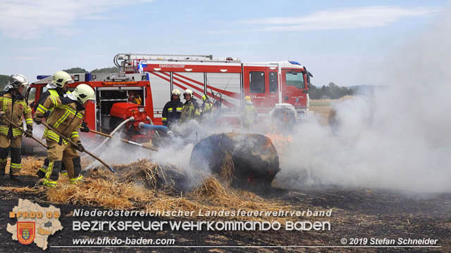 20190705 Abgeerntetes Feld sowie mehrere Rund-Stroballen bei Weigelsdorf abgebrannt Foto: © Stefan Schneider BFK Baden 20190705 Abgeerntetes Feld sowie mehrere Rund-Stroballen bei Weigelsdorf abgebrannt Foto: © Stefan Schneider BFK Baden