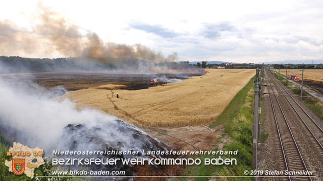 20190705 Feuerwehren aus dem Bezirk Baden unterstützen bei 35 Hektar Getreidefeld in Flammen  Foto: © Stefan Schneider BFK Baden