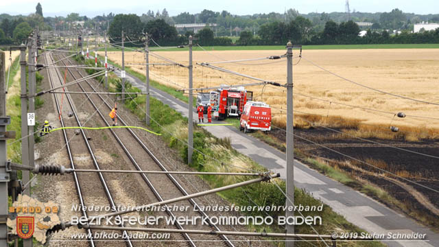 20190705 Feuerwehren aus dem Bezirk Baden unterstützen bei 35 Hektar Getreidefeld in Flammen  Foto: © Stefan Schneider BFK Baden