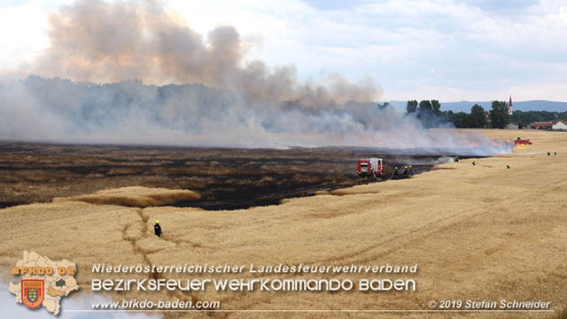 20190705 Feuerwehren aus dem Bezirk Baden unterstützen bei 35 Hektar Getreidefeld in Flammen  Foto: © Stefan Schneider BFK Baden