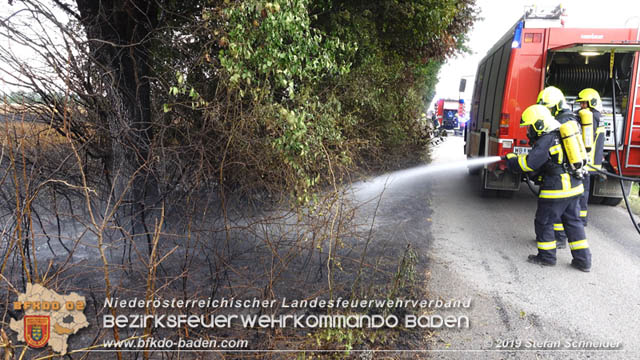 20190705 Feuerwehren aus dem Bezirk Baden unterstützen bei 35 Hektar Getreidefeld in Flammen  Foto: © Stefan Schneider BFK Baden