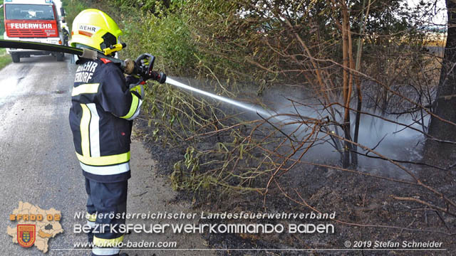 20190705 Feuerwehren aus dem Bezirk Baden unterstützen bei 35 Hektar Getreidefeld in Flammen  Foto: © Stefan Schneider BFK Baden