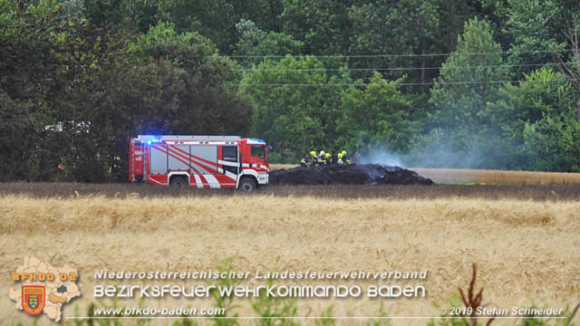 20190705 Feuerwehren aus dem Bezirk Baden unterstützen bei 35 Hektar Getreidefeld in Flammen  Foto: © Stefan Schneider BFK Baden