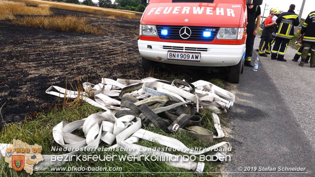 20190705 Feuerwehren aus dem Bezirk Baden unterstützen bei 35 Hektar Getreidefeld in Flammen  Foto: © Stefan Schneider BFK Baden