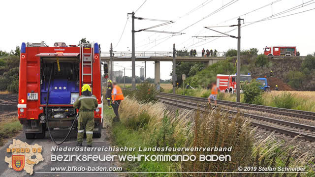 20190705 Feuerwehren aus dem Bezirk Baden unterstützen bei 35 Hektar Getreidefeld in Flammen  Foto: © Stefan Schneider BFK Baden