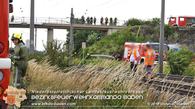 20190705 Feuerwehren aus dem Bezirk Baden unterstützen bei 35 Hektar Getreidefeld in Flammen  Foto: © Stefan Schneider BFK Baden