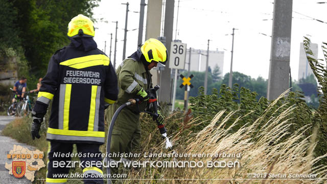 20190705 Feuerwehren aus dem Bezirk Baden unterstützen bei 35 Hektar Getreidefeld in Flammen  Foto: © Stefan Schneider BFK Baden