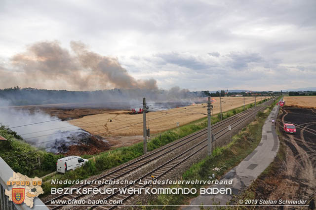 20190705 Feuerwehren aus dem Bezirk Baden unterstützen bei 35 Hektar Getreidefeld in Flammen  Foto: © Stefan Schneider BFK Baden