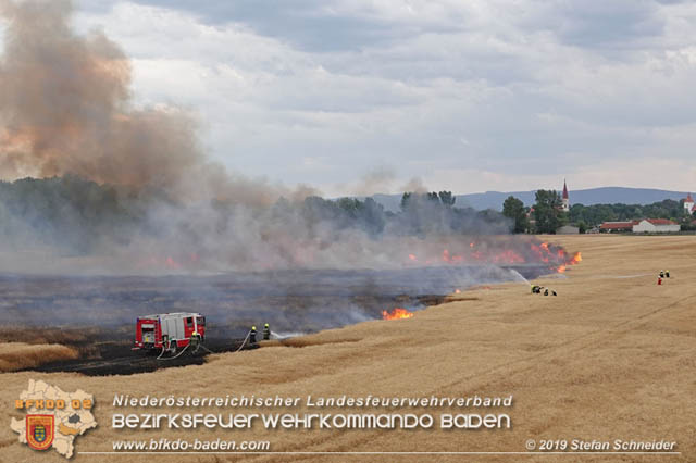 20190705 Feuerwehren aus dem Bezirk Baden unterstützen bei 35 Hektar Getreidefeld in Flammen  Foto: © Stefan Schneider BFK Baden