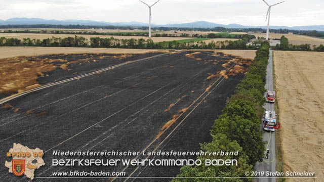 20190705 Feuerwehren aus dem Bezirk Baden unterstützen bei 35 Hektar Getreidefeld in Flammen  Foto: © Stefan Schneider BFK Baden