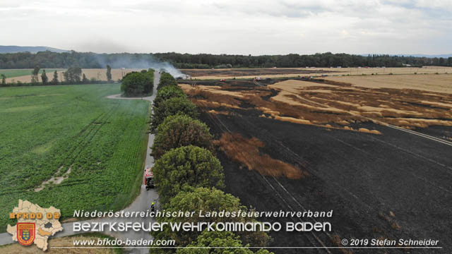 20190705 Feuerwehren aus dem Bezirk Baden unterstützen bei 35 Hektar Getreidefeld in Flammen  Foto: © Stefan Schneider BFK Baden