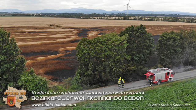 20190705 Feuerwehren aus dem Bezirk Baden unterstützen bei 35 Hektar Getreidefeld in Flammen  Foto: © Stefan Schneider BFK Baden