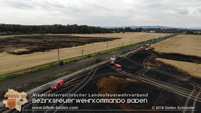 20190705 Feuerwehren aus dem Bezirk Baden unterstützen bei 35 Hektar Getreidefeld in Flammen  Foto: © Stefan Schneider BFK Baden