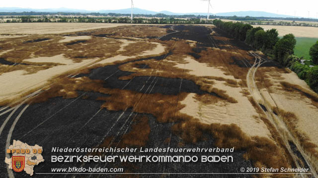 20190705 Feuerwehren aus dem Bezirk Baden unterstützen bei 35 Hektar Getreidefeld in Flammen  Foto: © Stefan Schneider BFK Baden