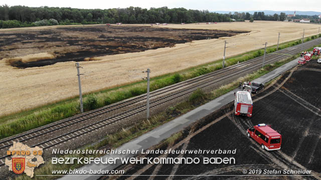 20190705 Feuerwehren aus dem Bezirk Baden unterstützen bei 35 Hektar Getreidefeld in Flammen  Foto: © Stefan Schneider BFK Baden