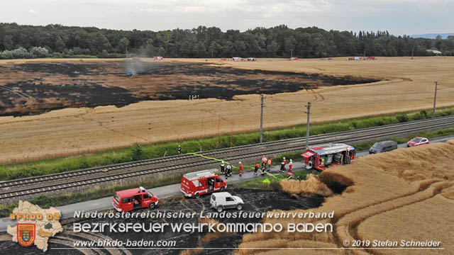 20190705 Feuerwehren aus dem Bezirk Baden unterstützen bei 35 Hektar Getreidefeld in Flammen  Foto: © Stefan Schneider BFK Baden