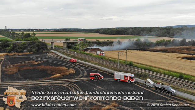 20190705 Feuerwehren aus dem Bezirk Baden unterstützen bei 35 Hektar Getreidefeld in Flammen  Foto: © Stefan Schneider BFK Baden