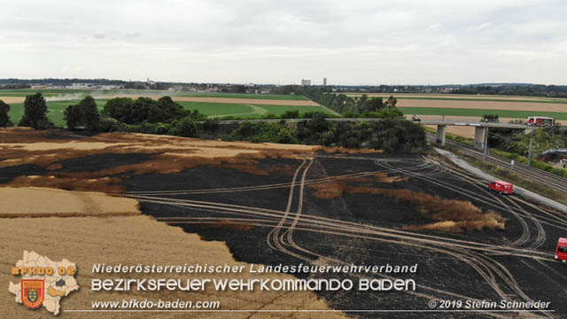 20190705 Feuerwehren aus dem Bezirk Baden unterstützen bei 35 Hektar Getreidefeld in Flammen  Foto: © Stefan Schneider BFK Baden