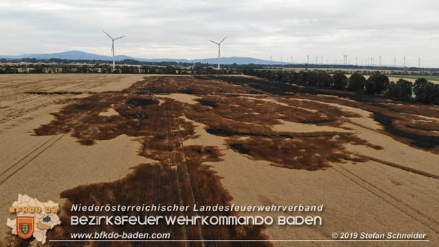 20190705 Feuerwehren aus dem Bezirk Baden unterstützen bei 35 Hektar Getreidefeld in Flammen  Foto: © Stefan Schneider BFK Baden