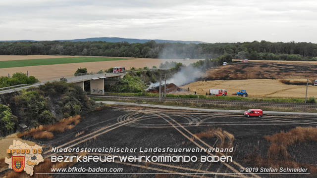 20190705 Feuerwehren aus dem Bezirk Baden unterstützen bei 35 Hektar Getreidefeld in Flammen  Foto: © Stefan Schneider BFK Baden