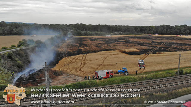 20190705 Feuerwehren aus dem Bezirk Baden unterstützen bei 35 Hektar Getreidefeld in Flammen  Foto: © Stefan Schneider BFK Baden