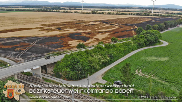 20190705 Feuerwehren aus dem Bezirk Baden unterstützen bei 35 Hektar Getreidefeld in Flammen  Foto: © Stefan Schneider BFK Baden