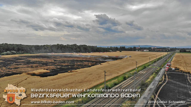 20190705 Feuerwehren aus dem Bezirk Baden unterstützen bei 35 Hektar Getreidefeld in Flammen  Foto: © Stefan Schneider BFK Baden
