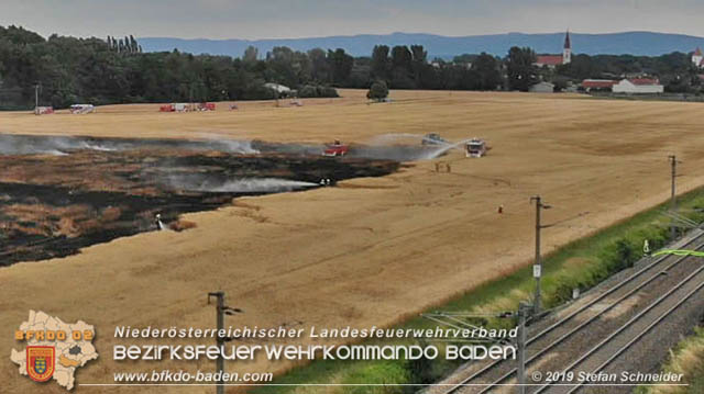 20190705 Feuerwehren aus dem Bezirk Baden unterstützen bei 35 Hektar Getreidefeld in Flammen  Foto: © Stefan Schneider BFK Baden