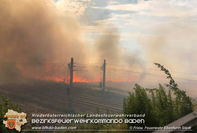 20190705 35 Hektar Getreidefeld zwischen Ebenfurth und Pottendorf in Flammen  Foto: © Freiwillige Feuerwehr Ebenfurth Stadt