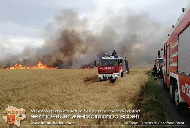 20190705 35 Hektar Getreidefeld zwischen Ebenfurth und Pottendorf in Flammen  Foto: © Freiwillige Feuerwehr Ebenfurth Stadt