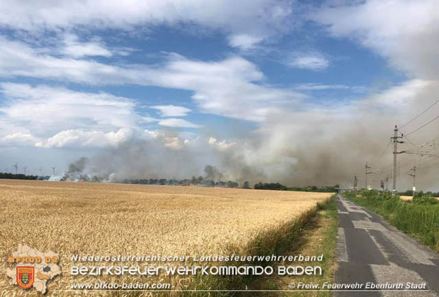 20190705 35 Hektar Getreidefeld zwischen Ebenfurth und Pottendorf in Flammen  Foto: © Freiwillige Feuerwehr Ebenfurth Stadt