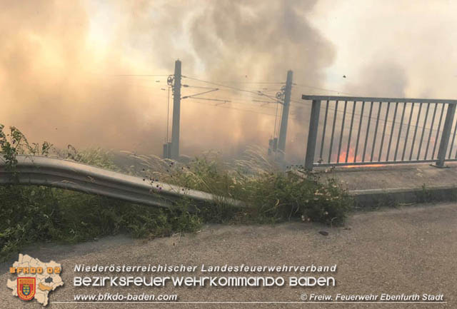 20190705 35 Hektar Getreidefeld zwischen Ebenfurth und Pottendorf in Flammen  Foto: © Freiwillige Feuerwehr Ebenfurth Stadt