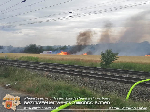 20190705 Feuerwehren aus dem Bezirk Baden unterstützen bei 35 Hektar Getreidefeld in Flammen  Foto: © Freiwillige Feuerwehr Landegg