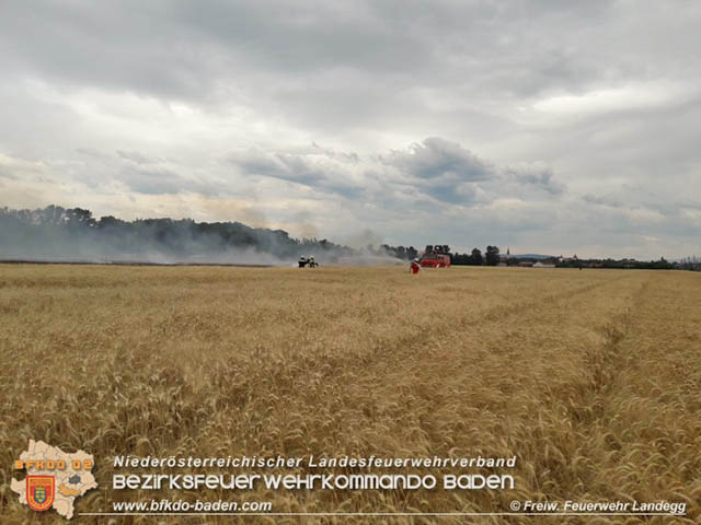 20190705 Feuerwehren aus dem Bezirk Baden unterstützen bei 35 Hektar Getreidefeld in Flammen  Foto: © Freiwillige Feuerwehr Landegg