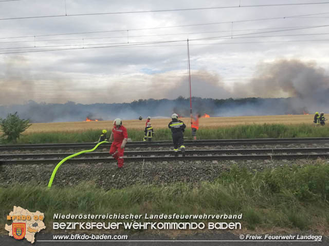 20190705 Feuerwehren aus dem Bezirk Baden unterstützen bei 35 Hektar Getreidefeld in Flammen  Foto: © Freiwillige Feuerwehr Landegg