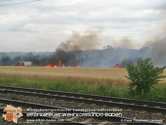 20190705 Feuerwehren aus dem Bezirk Baden unterstützen bei 35 Hektar Getreidefeld in Flammen  Foto: © Freiwillige Feuerwehr Landegg
