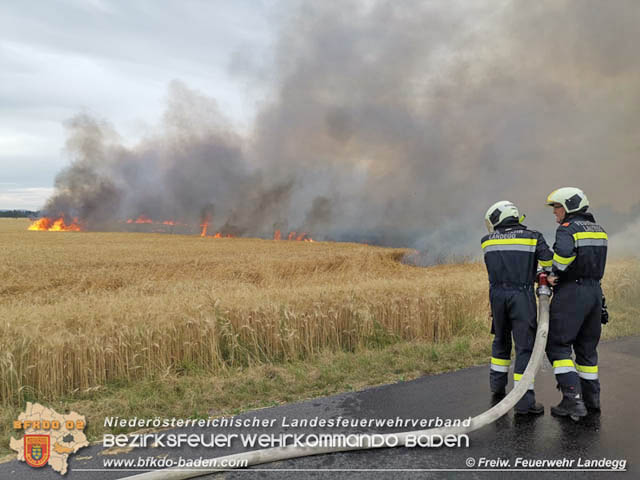 20190705 Feuerwehren aus dem Bezirk Baden unterstützen bei 35 Hektar Getreidefeld in Flammen  Foto: © Freiwillige Feuerwehr Landegg
