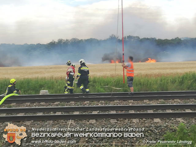 20190705 Feuerwehren aus dem Bezirk Baden unterstützen bei 35 Hektar Getreidefeld in Flammen  Foto: © Freiwillige Feuerwehr Landegg