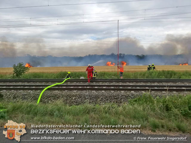 20190705 Feuerwehren aus dem Bezirk Baden unterstützen bei 35 Hektar Getreidefeld in Flammen  Foto: © Freiwillige Feuerwehr Siegrersdorf