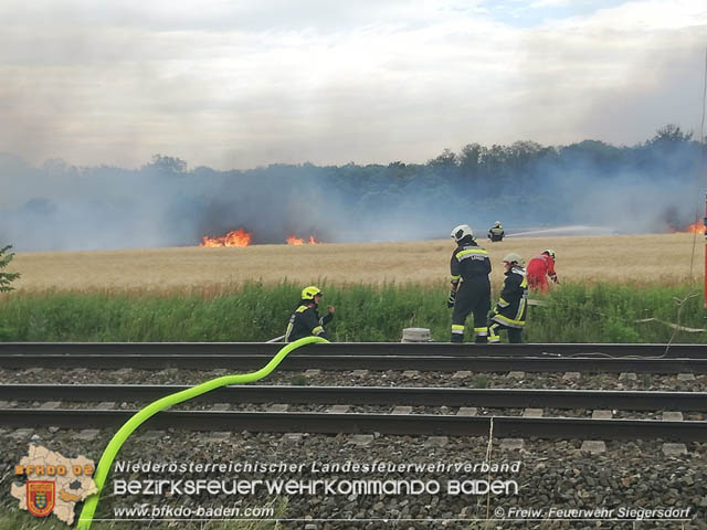 20190705 Feuerwehren aus dem Bezirk Baden unterstützen bei 35 Hektar Getreidefeld in Flammen  Foto: © Freiwillige Feuerwehr Siegrersdorf
