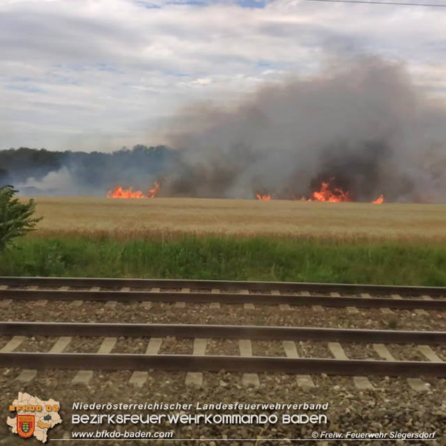 20190705 Feuerwehren aus dem Bezirk Baden unterstützen bei 35 Hektar Getreidefeld in Flammen  Foto: © Freiwillige Feuerwehr Siegrersdorf