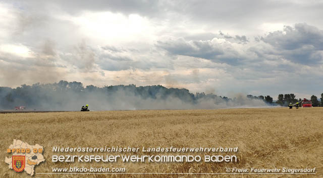 20190705 Feuerwehren aus dem Bezirk Baden unterstützen bei 35 Hektar Getreidefeld in Flammen  Foto: © Freiwillige Feuerwehr Siegrersdorf