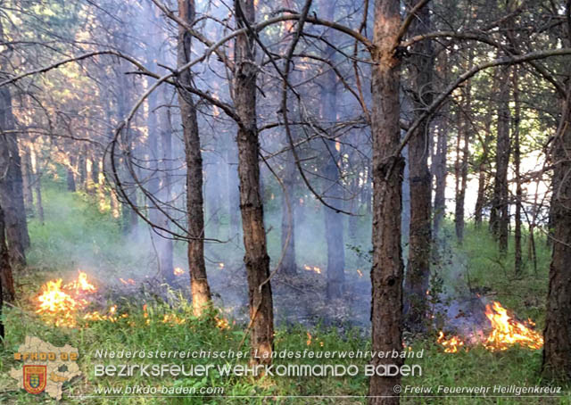 20190706 Entstehender Waldbrand bei Heiligenkreuz noch rechtzeitig entdeckt Foto: © Freiwillige Feuerwehr Heiligenkreuz 20190706 Entstehender Waldbrand bei Heiligenkreuz noch rechtzeitig entdeckt Foto: © Freiwillige Feuerwehr Heiligenkreuz