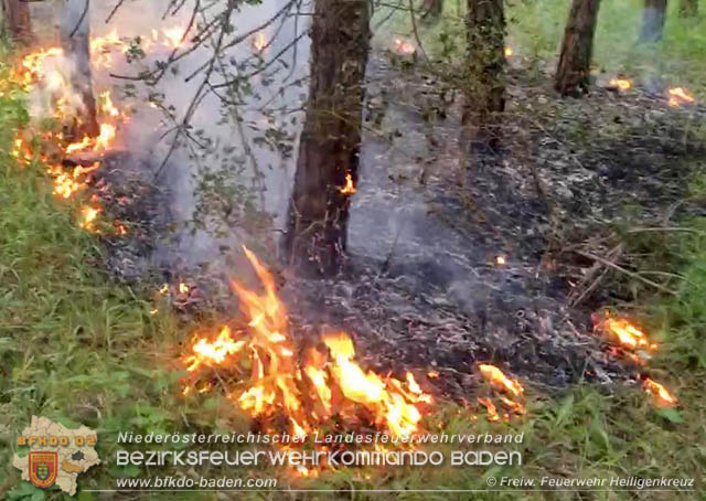 20190706 Entstehender Waldbrand bei Heiligenkreuz noch rechtzeitig entdeckt Foto: © Freiwillige Feuerwehr Heiligenkreuz 20190706 Entstehender Waldbrand bei Heiligenkreuz noch rechtzeitig entdeckt Foto: © Freiwillige Feuerwehr Heiligenkreuz