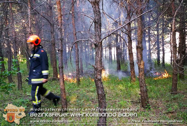 20190706 Entstehender Waldbrand bei Heiligenkreuz noch rechtzeitig entdeckt Foto: © Freiwillige Feuerwehr Heiligenkreuz 20190706 Entstehender Waldbrand bei Heiligenkreuz noch rechtzeitig entdeckt Foto: © Freiwillige Feuerwehr Heiligenkreuz