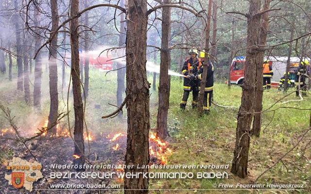 20190706 Entstehender Waldbrand bei Heiligenkreuz noch rechtzeitig entdeckt Foto: © Freiwillige Feuerwehr Heiligenkreuz 20190706 Entstehender Waldbrand bei Heiligenkreuz noch rechtzeitig entdeckt Foto: © Freiwillige Feuerwehr Heiligenkreuz