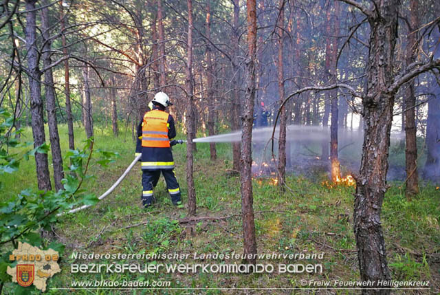 20190706 Entstehender Waldbrand bei Heiligenkreuz noch rechtzeitig entdeckt Foto: © Freiwillige Feuerwehr Heiligenkreuz 20190706 Entstehender Waldbrand bei Heiligenkreuz noch rechtzeitig entdeckt Foto: © Freiwillige Feuerwehr Heiligenkreuz